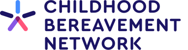CBN logo