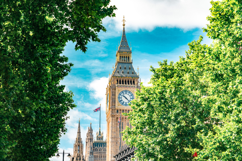 Parliament and Big Ben are just in view in this photo, glimpsed through trees.
