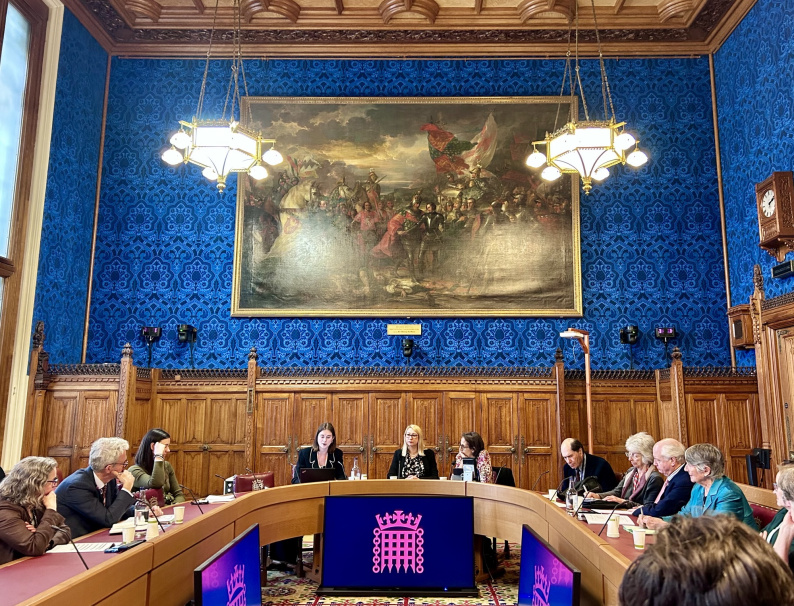 An image of Laura Anderson, Policy & Public Affairs Officer at NCB, alongside the two co-chairs of the APPGC, Jess Asato MP and Munia Wilson MP speaking at the APPGC meeting.